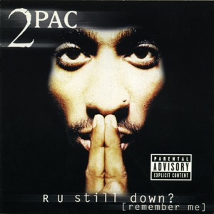 Cover of R U Still Down? (Remember Me)