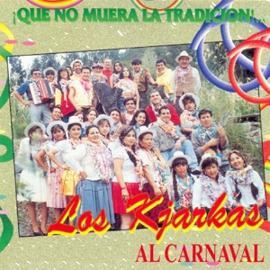 Hoes van Al carnaval