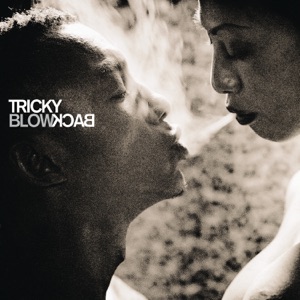Cover of Blowback
