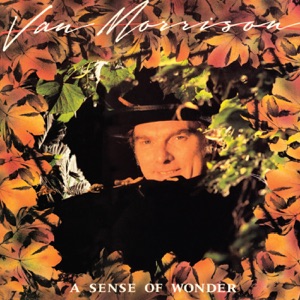 Cover of A Sense of Wonder