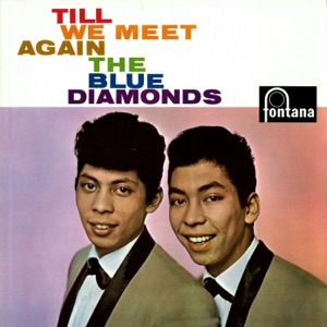 Cover of Till We Meet Again