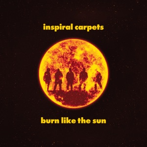 Cover of Burn Like The Sun