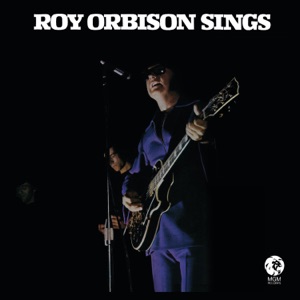 Hoes van Roy Orbison Sings