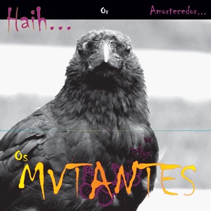 Cover of Haih or amortecedor