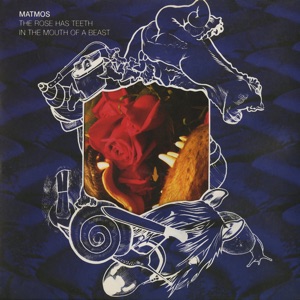 Cover of The Rose Has Teeth in the Mouth of a Beast