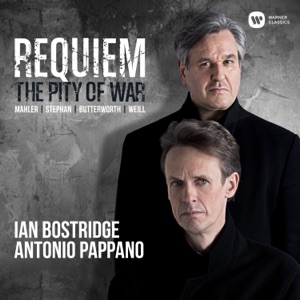 Hoes van Requiem - The Pity of War