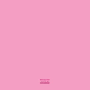 Cover of PINK SUMMER