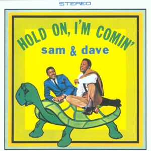 Cover of Hold On, I’m Comin’