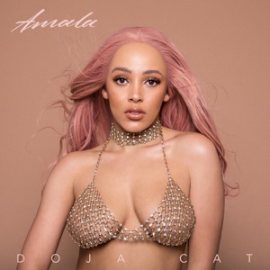 Cover of Amala