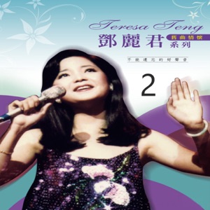 Cover of 天国的情人 2-邓丽君逝世十周年纪念声影存集