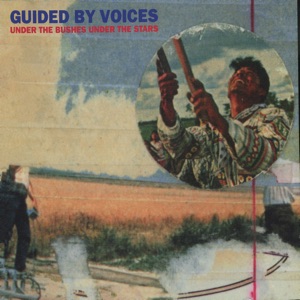 Cover of Under the Bushes Under the Stars