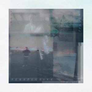 Cover of Perspective