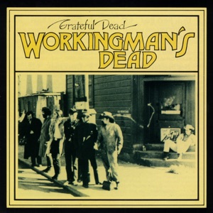 Hoes van Workingman’s Dead