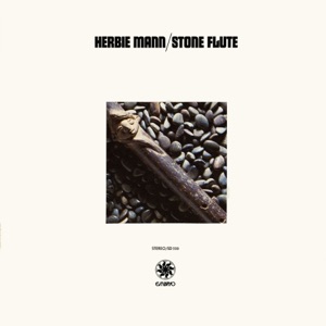 Hoes van Stone Flute