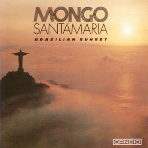 Cover of Brazilian Sunset