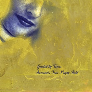 Cover of Surrender Your Poppy Field