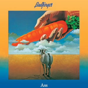 Cover of Ass
