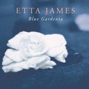 Hoes van Blue Gardenia