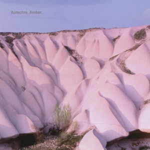 Cover of Amber