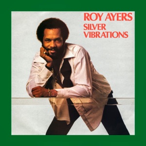 Hoes van Silver Vibrations