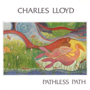 Hoes van Pathless Path