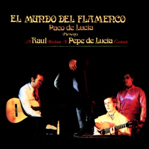 Hoes van El mundo del flamenco