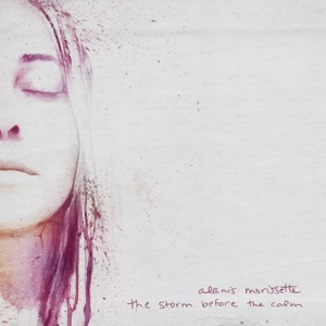 Cover of The Storm Before the Calm
