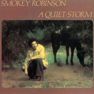 Cover of A Quiet Storm