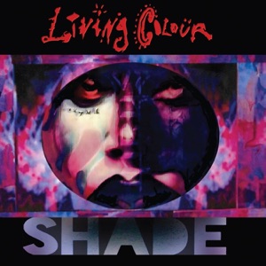 Cover of Shade