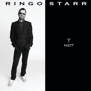 Cover of Y Not