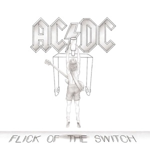 Cover of Flick of the Switch