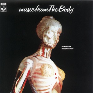Hoes van Music From The Body