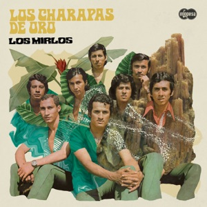 Cover of Los charapas de oro