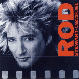 Cover of Camouflage