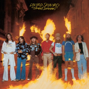 Cover of Street Survivors