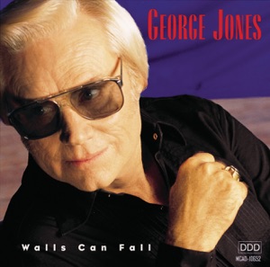 Cover of Walls Can Fall