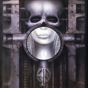 Cover of Brain Salad Surgery