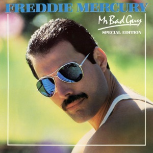 Cover of Mr. Bad Guy