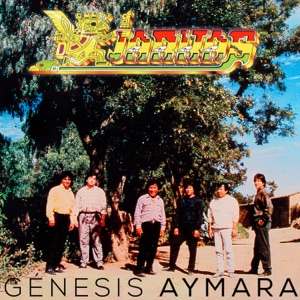 Cover of Genesis Aymara