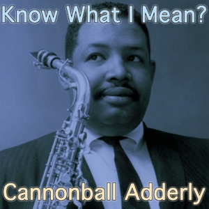 Cover of Know What I Mean?