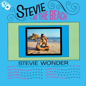 Cover of Stevie at the Beach