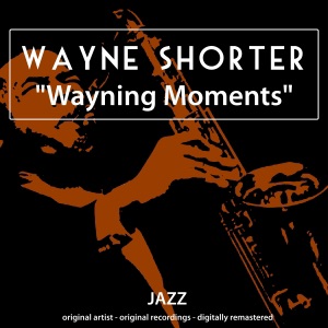 Cover of Wayning Moments
