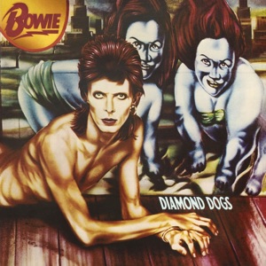 Hoes van Diamond Dogs