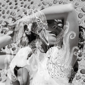 Cover of Vespertine