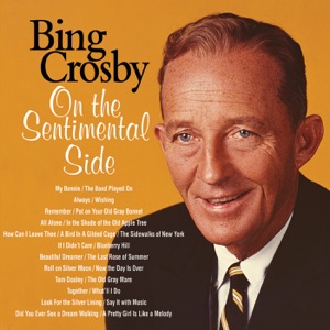 Cover of On the Sentimental Side