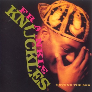 Cover of Beyond the Mix