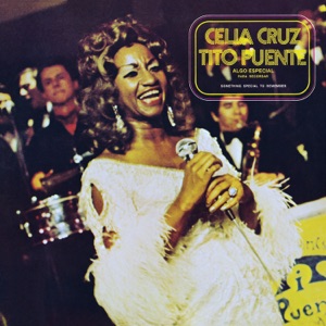 Cover of Algo especial para recordar