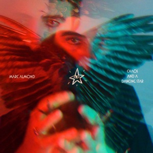 Cover of Chaos and a Dancing Star