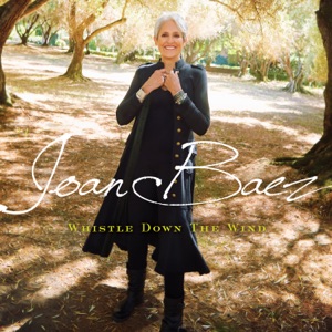Cover of Whistle Down the Wind