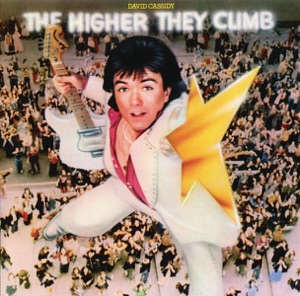 Cover of The Higher They Climb, the Harder They Fall